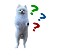 727817528