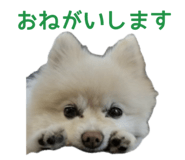 727817529