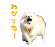 727817530