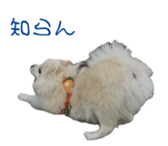 727817531