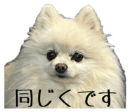 727817532