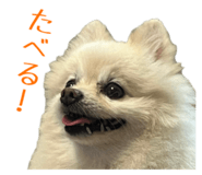 727817533