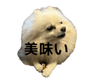 727817534