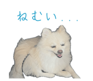 727817535