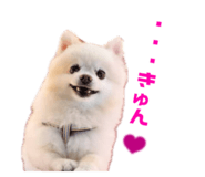727817538