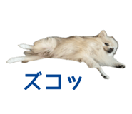 727817542