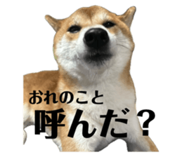 727823042