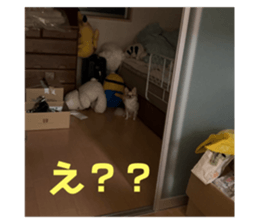 727823080