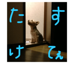 727829468