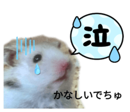 727833250