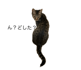 727833437