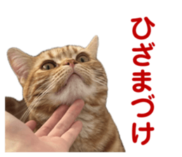 727846504