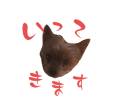 727846847