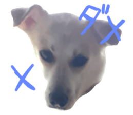 727847155