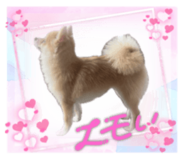 727848198