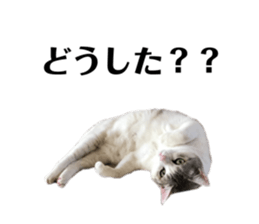 727857426