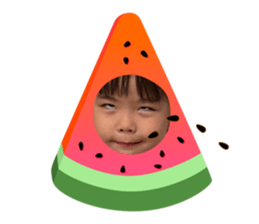 727857816