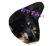 727863861