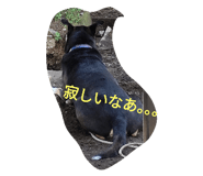 727863862