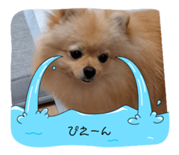 727888266