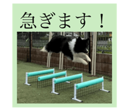 727909692
