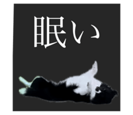 727909694