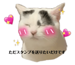 727910711