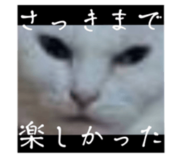 727920614