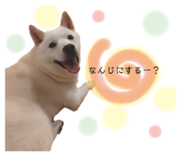 727942810