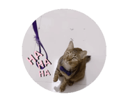 727960501
