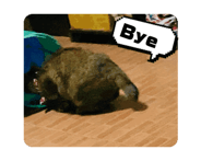 727960504