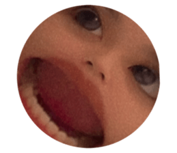727965558