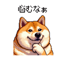 727976116