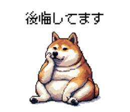 727976126