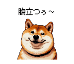 727976131