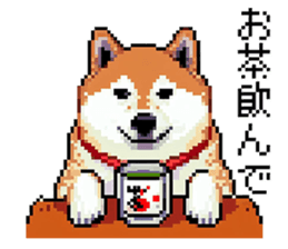 727983629