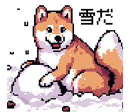 727983644