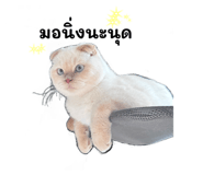 727989610