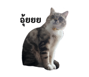 727989618