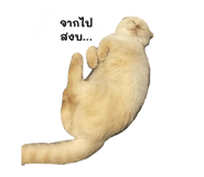 727989621