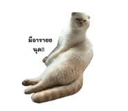 727989622
