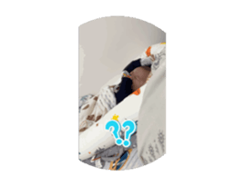 728009134
