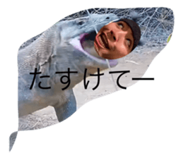 728009524