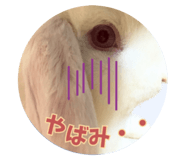 728015308