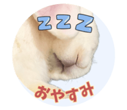 728015311