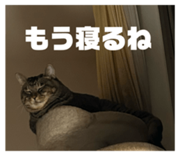 728022244