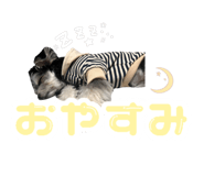 728031918