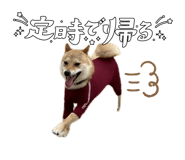 728034193