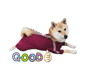 728034199