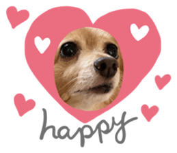 728035558